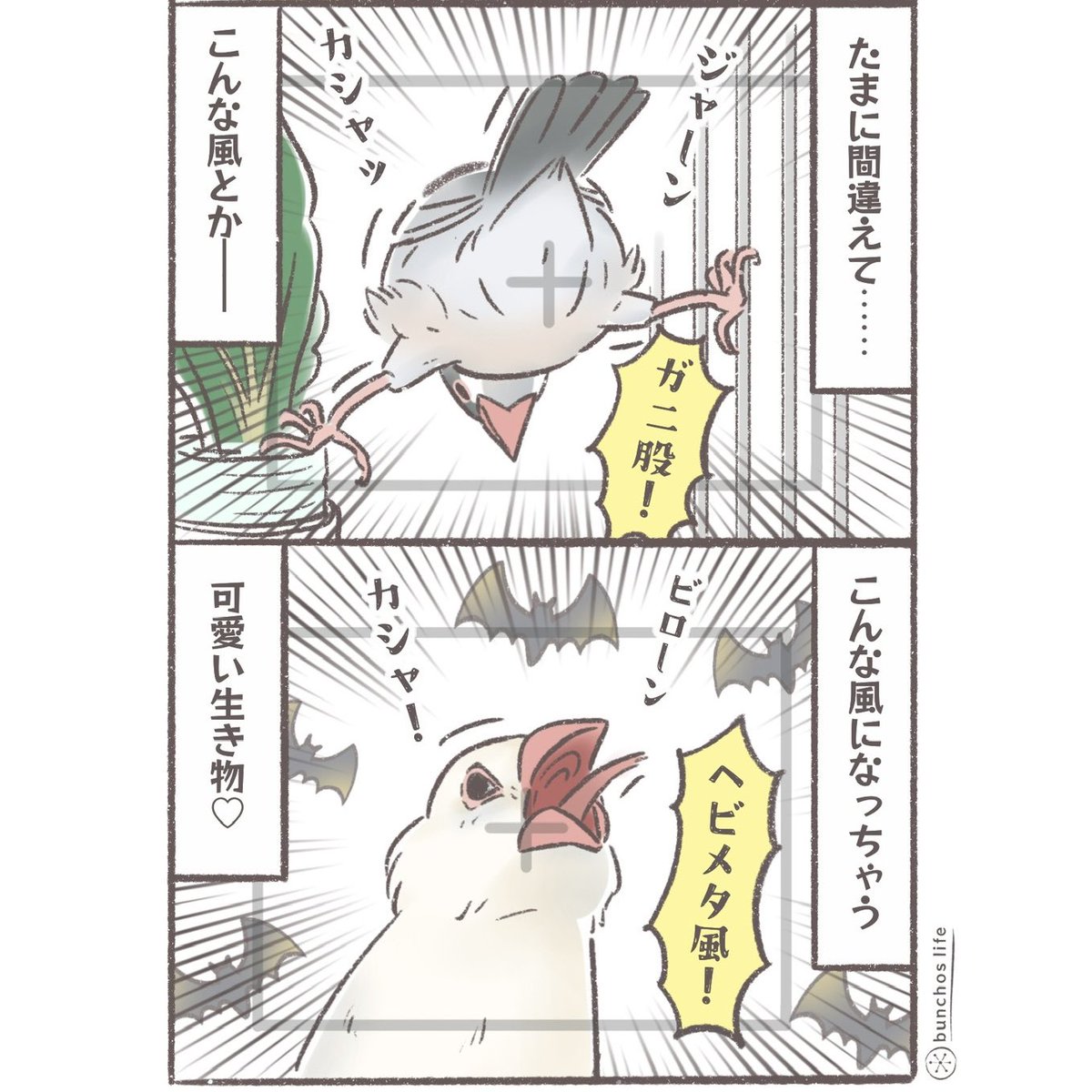 文鳥、写真写りの差が激しい
#文鳥 
#4コマ漫画 