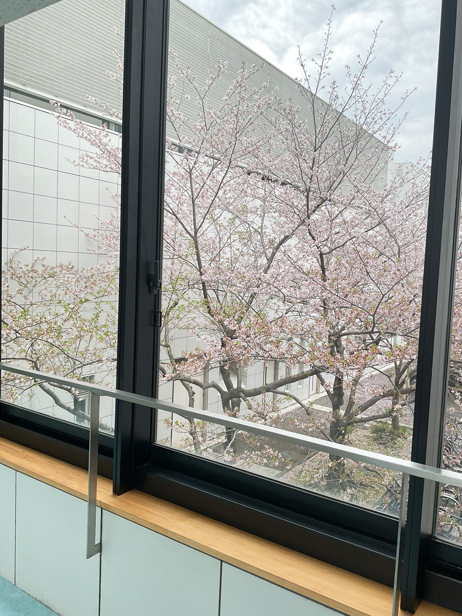 静岡県立大学附属図書館 (@shizu_kendailib) / X 静岡県立大学附属図書館 (@shizu_kendailib) / X