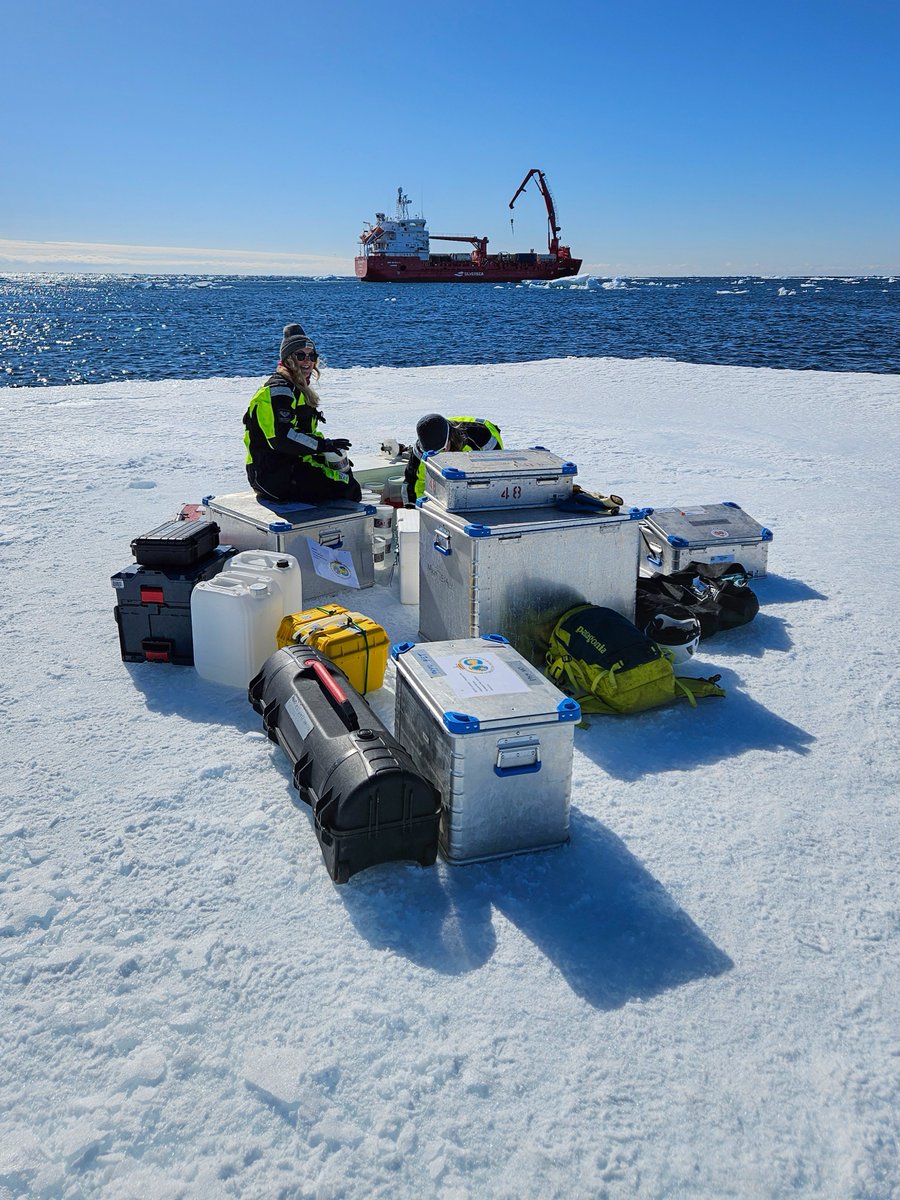 1⃣ At its peak, #Antarctic sea ice covers twice the area of Australia. That's a lot of habitat for the microscopic algae that live in and under sea ice – like 'a vast unseen meadow', says AAPP PhD student Laura Dalman <a href="/IMASUTAS/">IMAS</a> (seen in action on a ice floe below).

📸 S Moreau