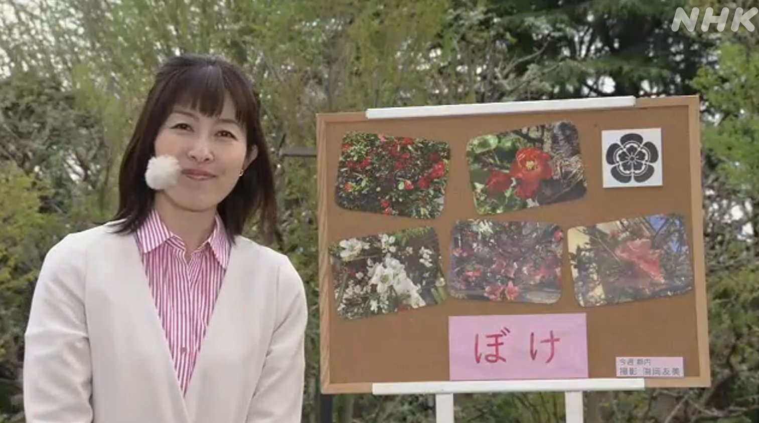 NHK おはよう日本 公式 (@nhk_ohayou) / X