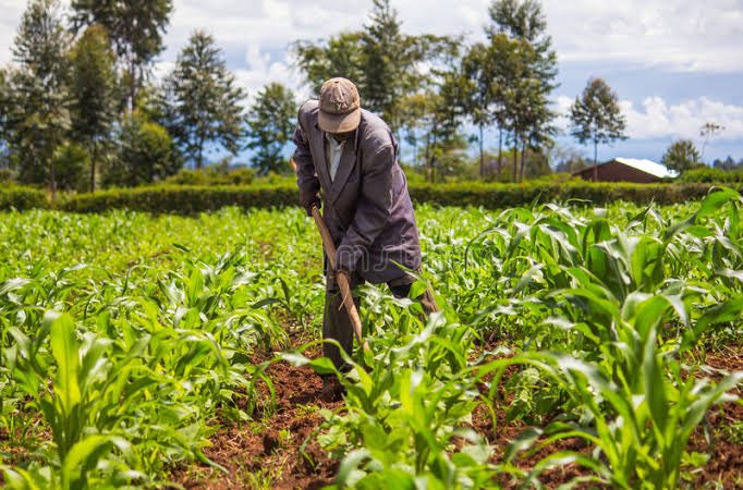 Classic 105 Kenya (@classic105kenya) on Twitter photo .<a href="/ItsMainaKageni/">Maina Kageni</a>: This is heartbreaking. What will it take to protect our elders? What can we do as a society to save them? #MainaAndKingangi .<a href="/ItsMainaKageni/">Maina Kageni</a>: This is heartbreaking. What will it take to protect our elders? What can we do as a society to save them? #MainaAndKingangi