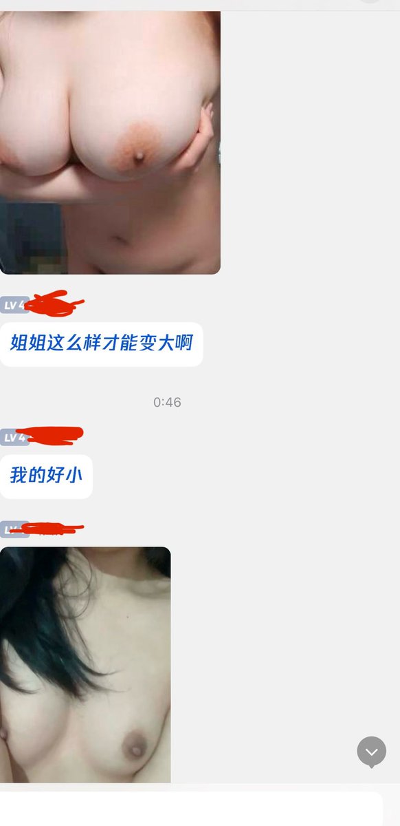 看着母狗们的勤学好问，互帮互助，感觉还挺通人性的