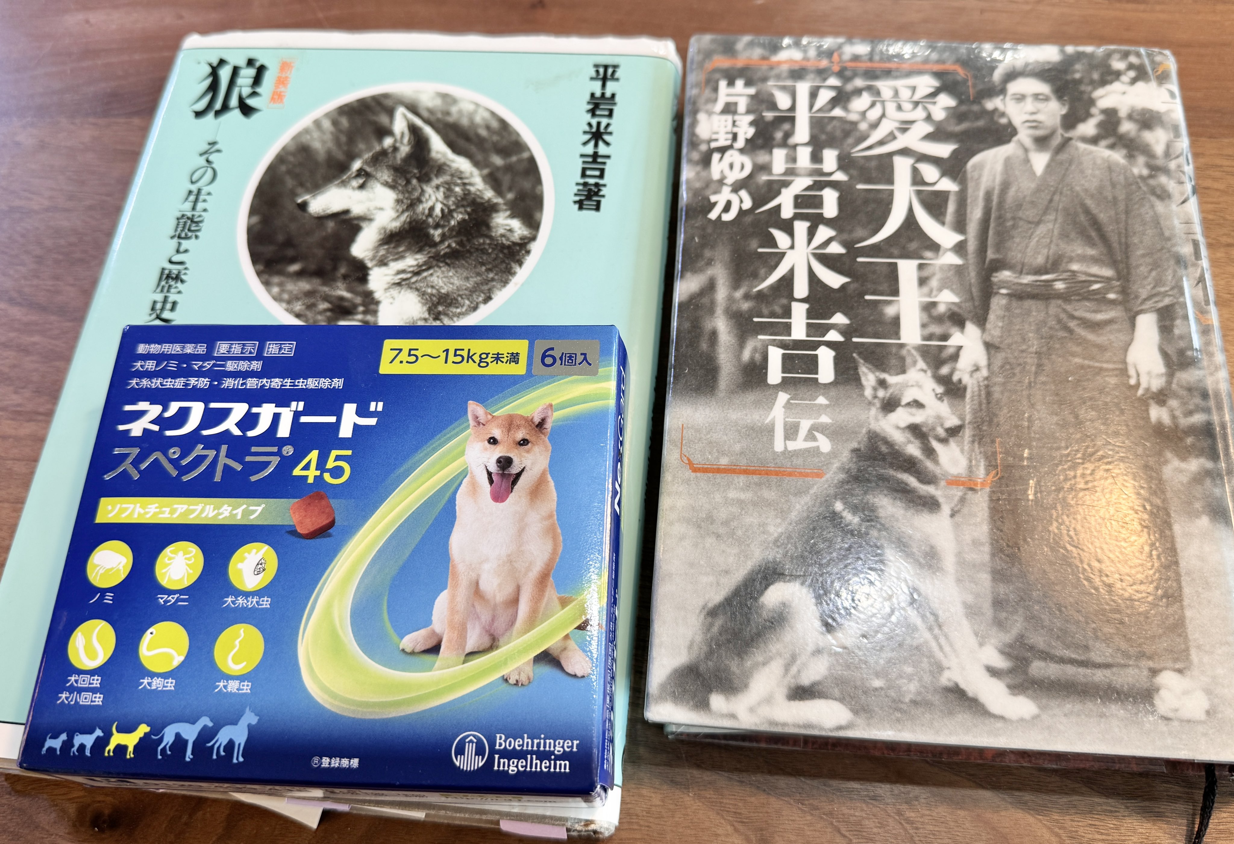 狼－その生態と歴史－ 平岩米吉著 616w2khRptL.jpg_BO30,255,255,