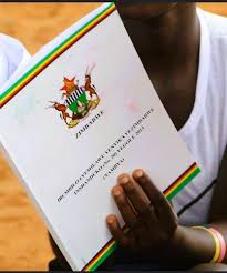 Anyone from the democratic movement who decides to support the alteration of the constitution to allow Mr. Mnangagwa to extend his term of office beyond the stipulated five years ending in 2028 and help him to rule by decree until 2030 or 2033 will not only be named and shamed,