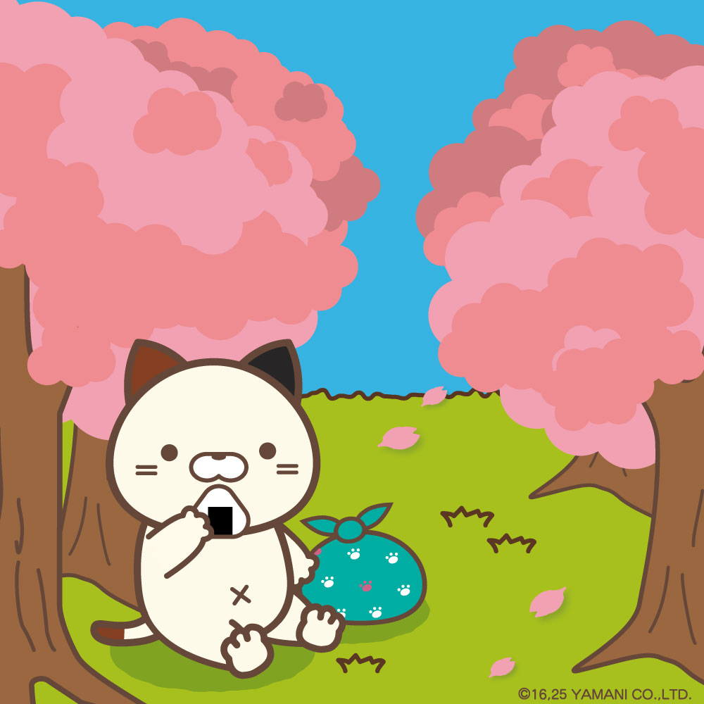 ぽかぽか天気の日も多くなってきて
ついに桜も開花しはじめてきましたね🌸
ミケムラさんも旅の途中にひとりお花見を満喫しているみたいです。
桜を見ながら食べるおにぎり、美味しそう🍙💓

#ミケムラさんといっしょ　#お花見