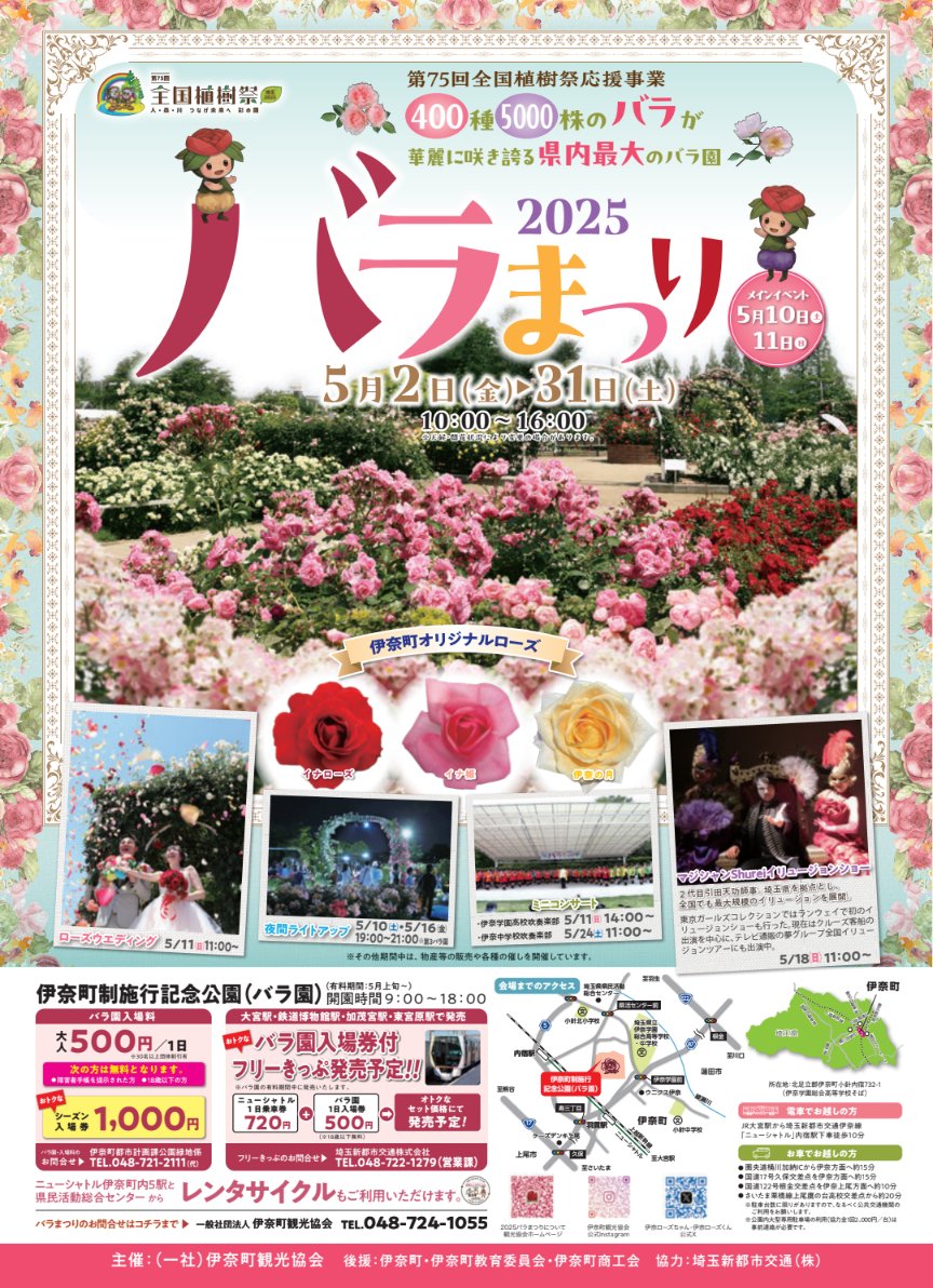 バラまつり2025🌹（埼玉県伊奈町） 400種5000株のバラが咲き誇る県内