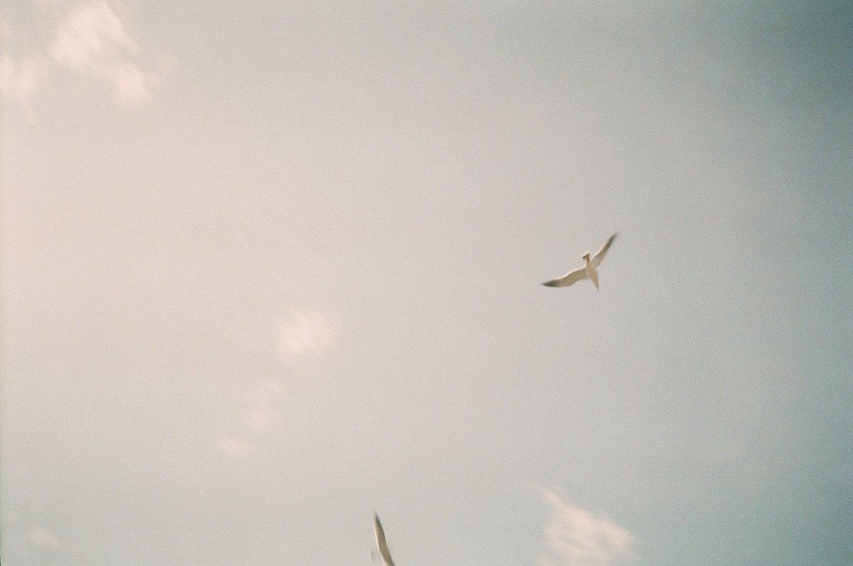 先日、映画『リヴァイアサン』取材のため岩手県山田町に行ってきました。その時、フィルムカメラで撮った写真データを、クラウドファンディングご支援者様全員に送らせて頂きました。宜しければご覧ください。撮影は8月、一歩一歩、進んで行けますように🐋🧳