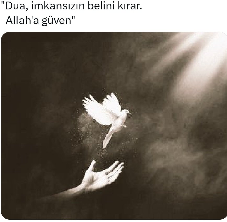 Murat yaşar tweet media