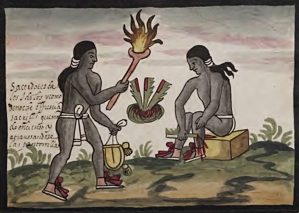 Sacerdotes mexicas.

Los hombres dedicados al culto a las deidades poseían normas y reglas para desarrollar su oficio; tenían pintura corporal negra, cabello largo, no intimaban con mujeres y realizaban ofrendas de sangre, misma que se obtenía de su pantorrillas, pene u orejeras.