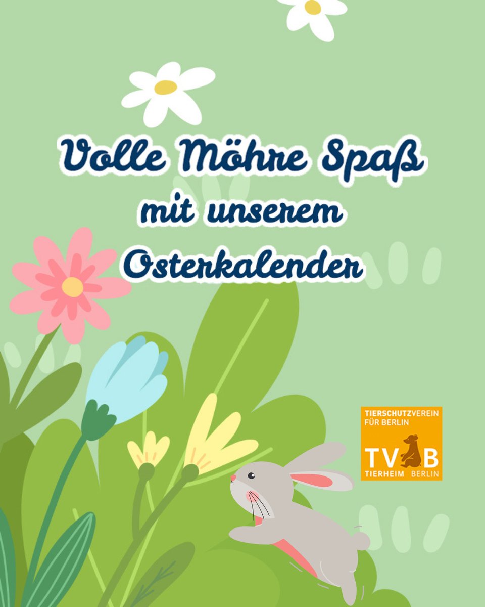 Adventskalender war gestern - jetzt ist Osterkalender! Geht mit uns auf eine wunderbar tierische Osterreise! 🐰
Auf tierschutz-berlin.de/osterkalender verstecken sich hinter 14 Türchen interessante Themen. Werft gleich mal einen Blick hinter das erste Türchen! Viel Spaß dabei! 🧡 #berlin