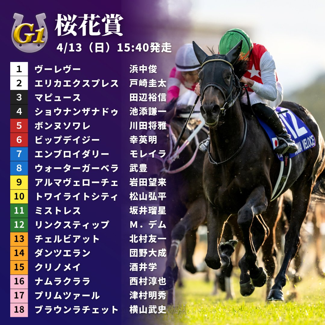 JRA　競馬　馬写真（額入り）冬花 JRA 競馬 馬写真（額入り）冬花 美術品・アンティーク・コレクション
