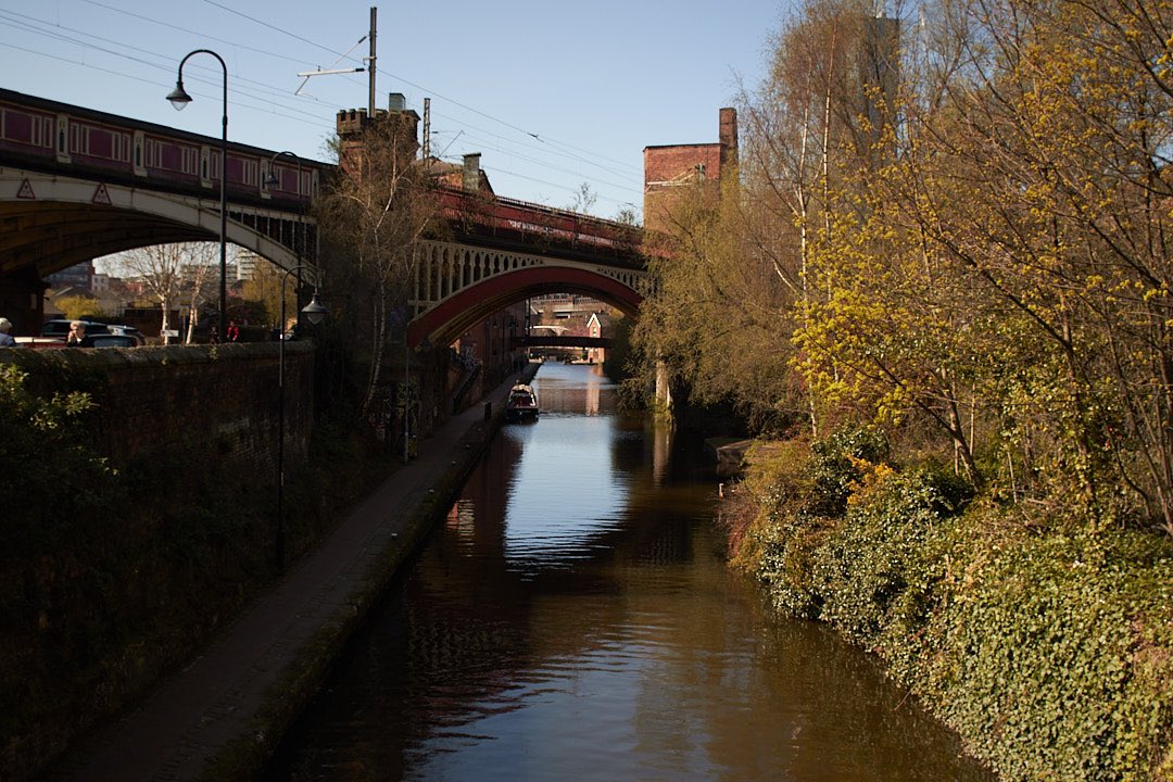 Bankole Oluwafemi tweet media