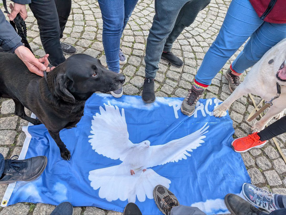 📍#Peine➖  #Spaziergang 🗓 #D_07_04_2025

Euer Kommentar:

Peine _Spaziergang_07.04.2025
24 Füße und 8 Pfoten spazierten heute angeregt plaudernd für Frieden und Freiheit durch die Fußgängerzone 🫶🕊🐾❤️🤗