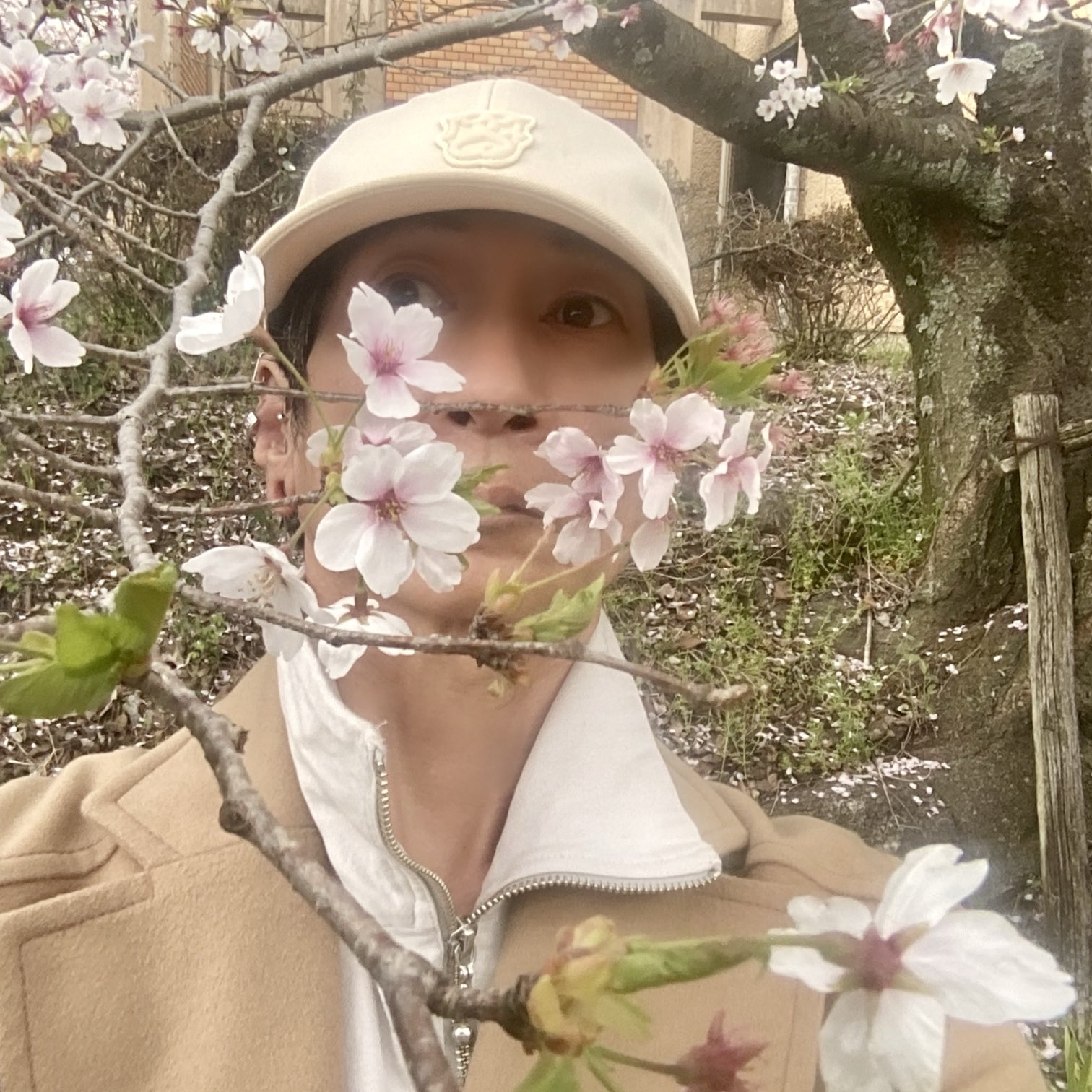 嶽本野ばら (@MILKPUNKSEX) / X