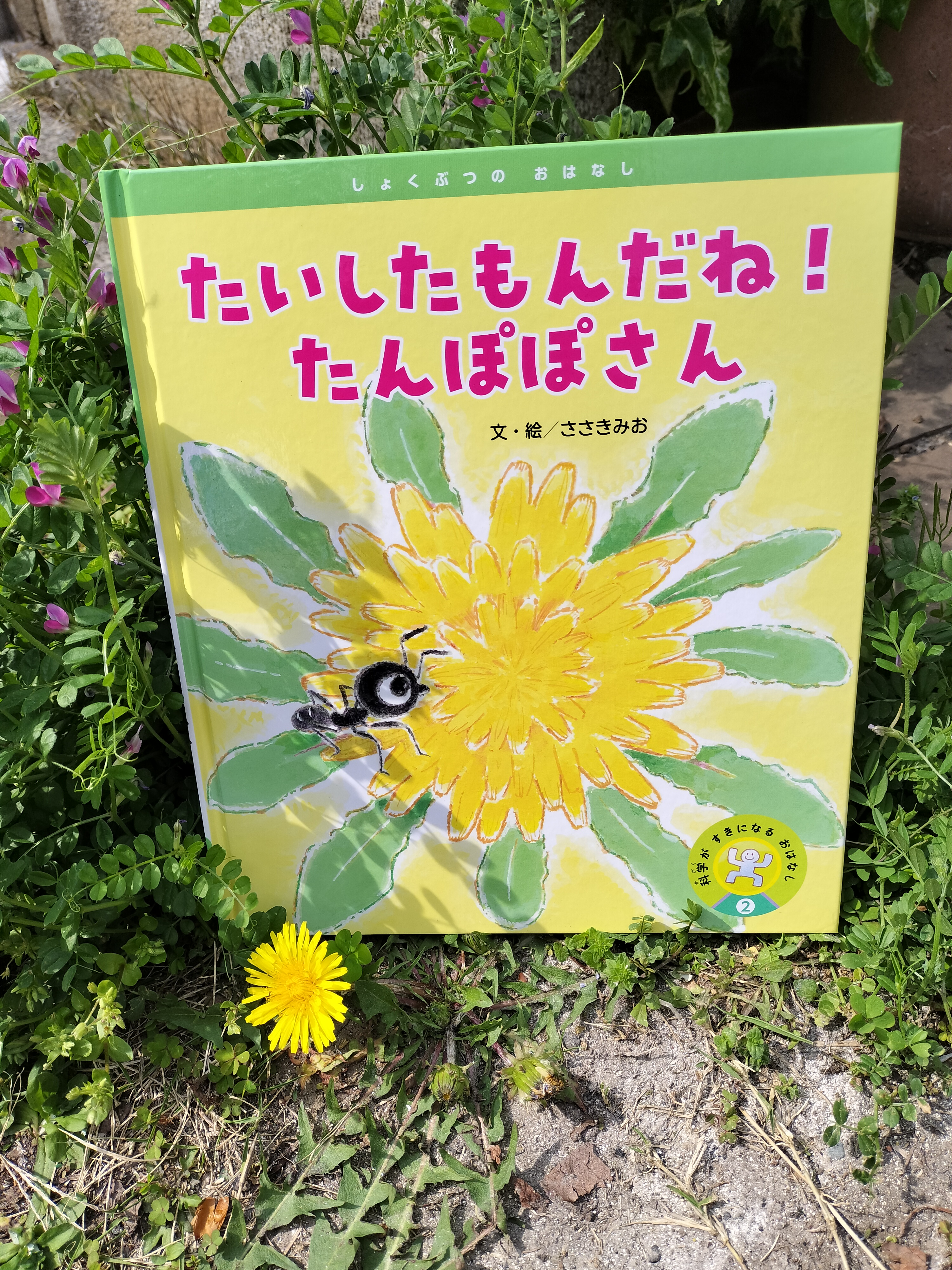 ささきみお😊子供向イラストレーター・雑誌/絵本/児童書作家