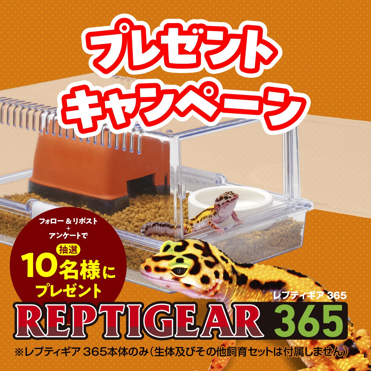 SUDO_AquaHerp's tweet image. 【1分アンケート実施中】
スドーの新商品づくり、あなたの声がヒントに✨️1分アンケート＋フォロー&amp;amp;RTで✨️プレゼント抽選10名✨️にプレゼント
▼こちらから
docs.google.com/forms/d/e/1FAI…
#レオパ #スドー #爬虫類 #両生類 #キャンペーン