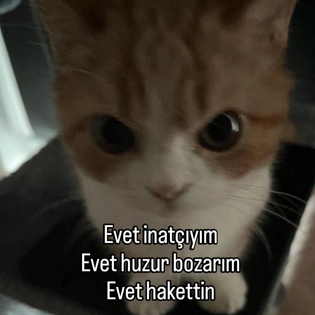 ANLIK (@anlikmod) on Twitter photo 