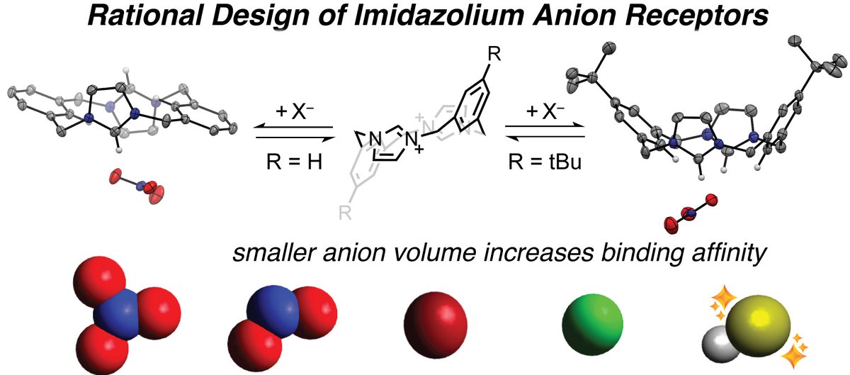 Check out Andy’s new <a href="/InorgChem/">Inorganic Chemistry</a>  paper on reactive S &amp; N anions binding to molecular receptors! Lots of NMR data &amp; X-ray structures highlighting the importance of C-H interactions in reversible HS- (and other anion) binding. Great work <a href="/agdavis98/">Andy Davis</a> !
pubs.acs.org/doi/10.1021/ac…