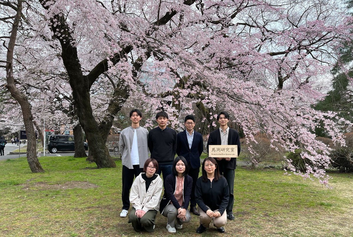 MabuchiGroup's tweet photo. 片平キャンパスの桜がきれいに咲いているので
集合写真を撮りました。
新年度も馬渕研究室をよろしくお願いします！ https://t.co/YYRjdHBOyq