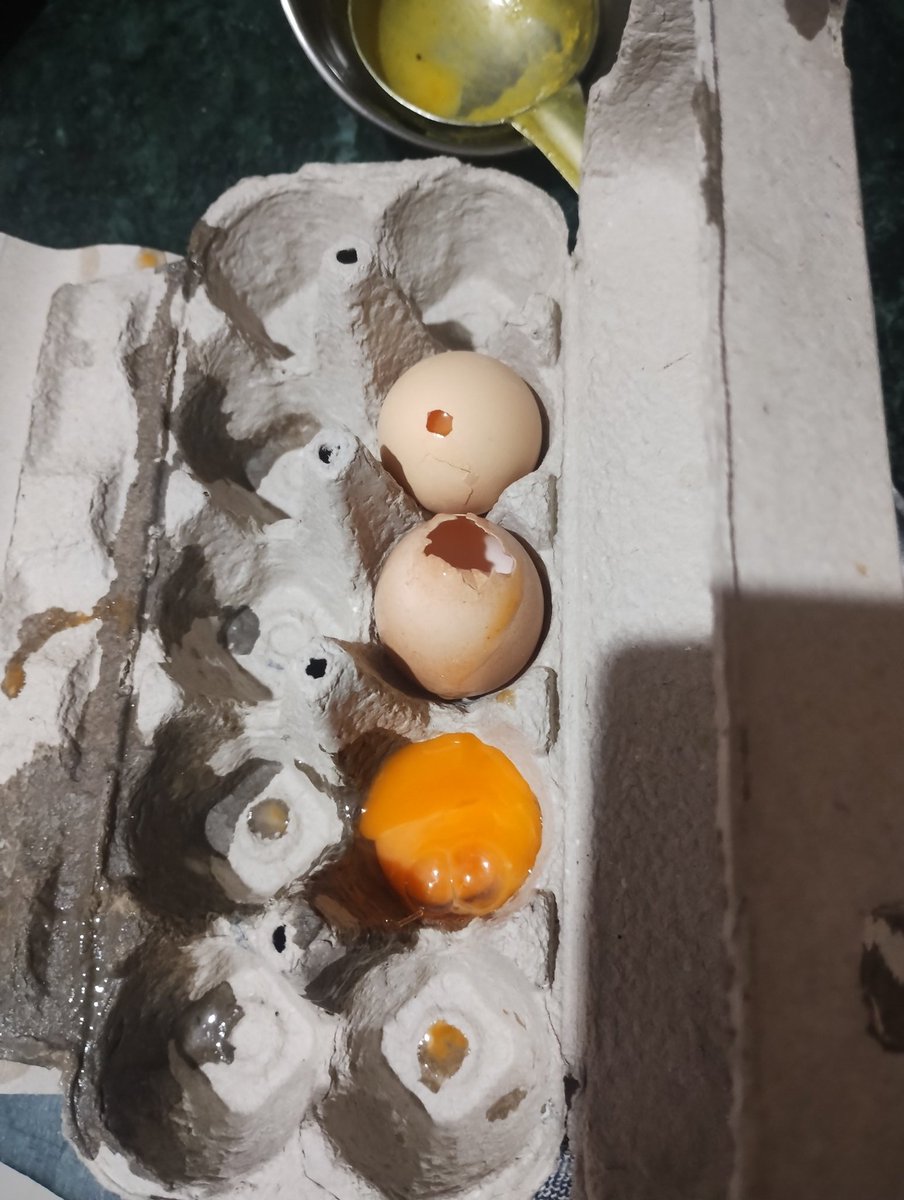thathastu_'s tweet photo. @letsblinkit 
I placed an order ORD880829097 this morning. 
I was supposed to receive 10 eggs along with other ordered items.
2 eggs out of those 10 were broken. I shared the pics while giving review.
Could get help from the Blinkit help desk.
And this seems store keepers mistake https://t.co/MwFgnKHhkG