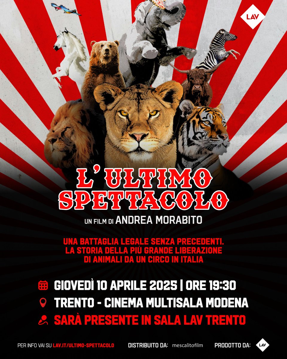 LAV Trentino tweet media