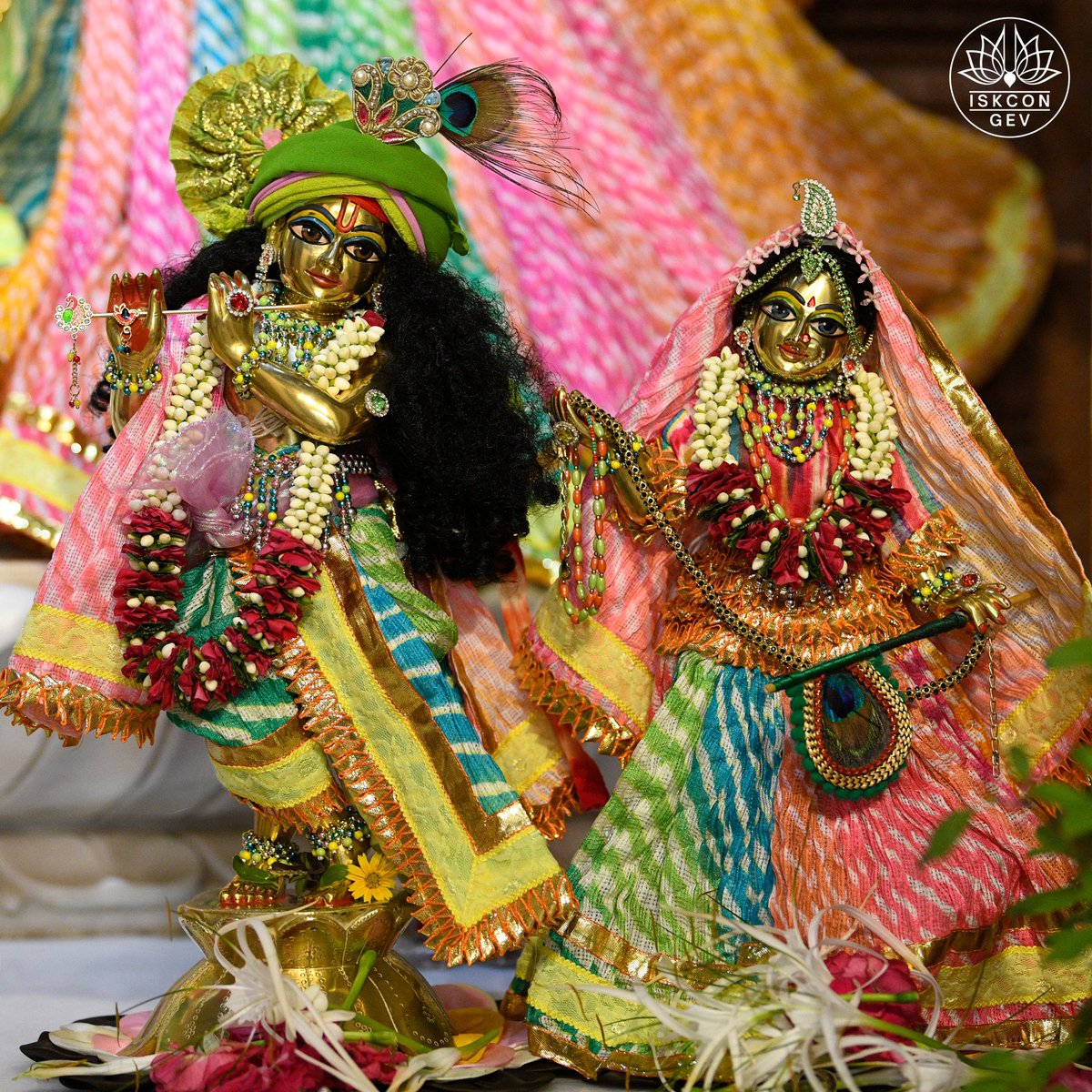 IskconGev's tweet photo. Daily Darshan from GEV
Sri Sri Radha Vrindaban Behari
Govardhan Eco Village

#DailyDarshan #GEVDarshan #RadhaVrindabanBehari #GovardhanEcoVillage #ISKCON #Bhakti #VrindavanMood #SpiritualIndia #DarshanOfTheDay https://t.co/52cZ943E28