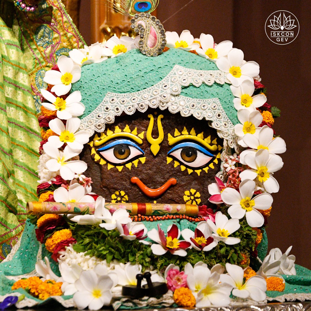 IskconGev's tweet photo. Daily Darshan from GEV
Sri Sri Radha Vrindaban Behari
Govardhan Eco Village

#DailyDarshan #GEVDarshan #RadhaVrindabanBehari #GovardhanEcoVillage #ISKCON #Bhakti #VrindavanMood #SpiritualIndia #DarshanOfTheDay https://t.co/52cZ943E28