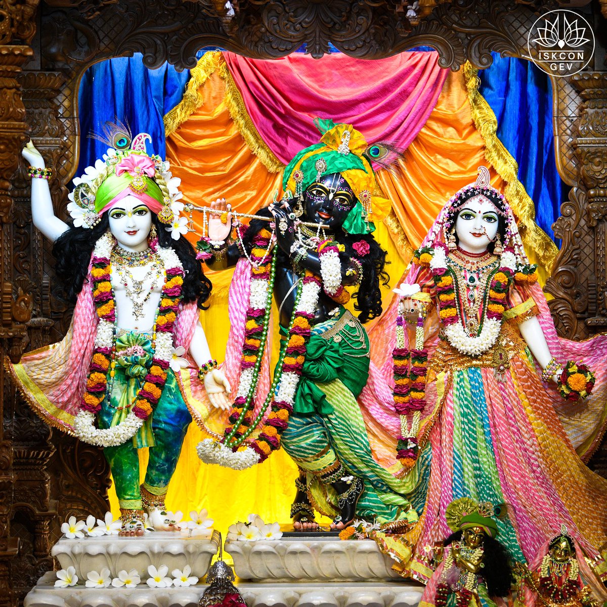 IskconGev's tweet photo. Daily Darshan from GEV
Sri Sri Radha Vrindaban Behari
Govardhan Eco Village

#DailyDarshan #GEVDarshan #RadhaVrindabanBehari #GovardhanEcoVillage #ISKCON #Bhakti #VrindavanMood #SpiritualIndia #DarshanOfTheDay https://t.co/52cZ943E28