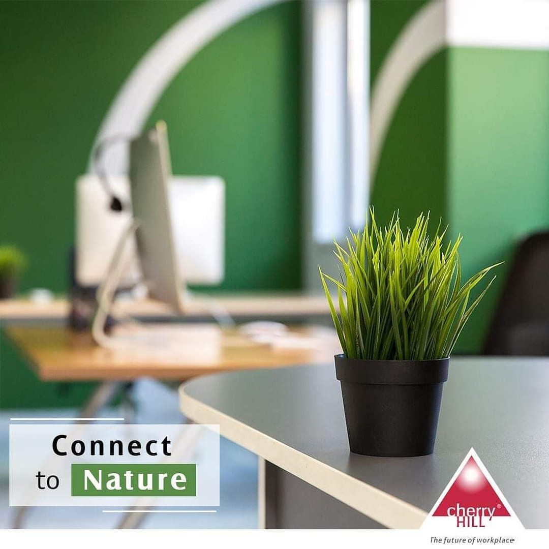 CherryHillDelhi's tweet photo. Working in a natural environment close to natural scenery, greenery and light is known to produce healthier #employees, who take fewer sick days. Even in hospital settings, patients that were exposed to natural elements recovered faster.
#CherryHillInteriors #HealthyWorkspaces https://t.co/Wa2ZNj2pfV