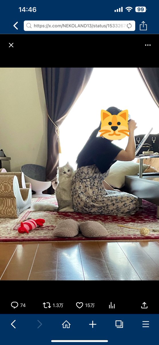 animalkyat's tweet photo. 化粧を始めたママが出かけると察知して必死に止めようとしてる猫がこちら https://t.co/AoaU5afWvE