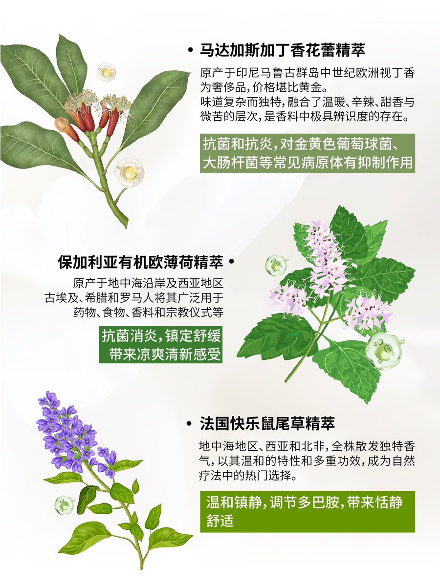 瑰辰小助理 tweet media