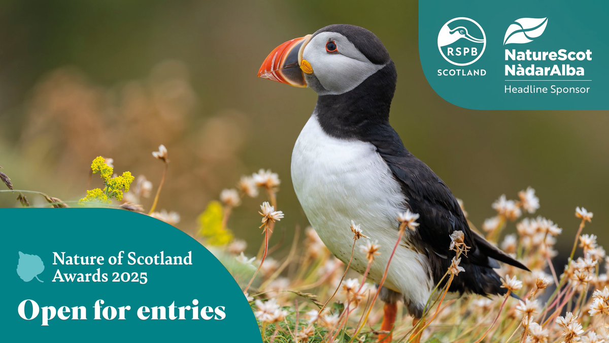 We support the #NatureofScotland Awards and they are looking for Scotland’s nature champions. 

They’re looking to celebrate those going the extra mile for conservation in Scotland. Know a person, partnership or project that fits the bill? 

👉🏻 bit.ly/natureofscotla…
