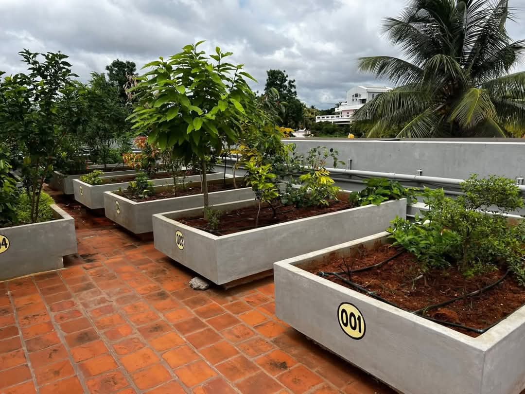 An apartment complex in Mysuru has given rooftop terrace garden spaces for each flat. You can grow your own small terrace garden there.

Like numbered parking space for each flat, this type of garden space for each flat will help! 

#Innovative 
#FB