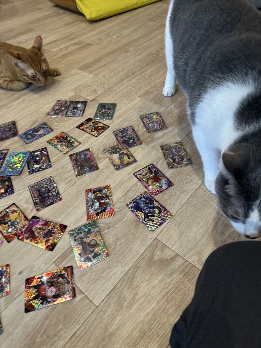 ShinjukuSokai's tweet photo. どうだ？高い森羅万象カードある？
貸した15000円の返済としてもらったんだ。
ホログラムのやつとかゴールドセイントみたいなやつとか高いんじゃないか？どうなんだ？ https://t.co/WZBBwdab8A