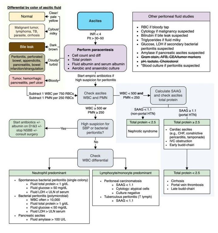 EndoCollabcom's tweet photo. Approach to Ascites

By @MatthewHoMD https://t.co/dJZytdpHS3