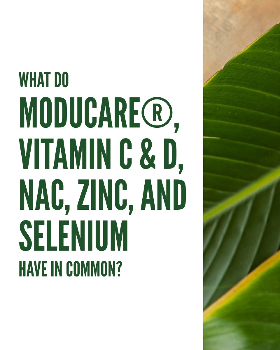 moducaresa's tweet image. Basically, if your immune system had a dating profile, these would be its non-negotiables. 😉  

Swipe right on better health and give your body the support it deserves! 🌿⚡

SHOP MODUGUARD | bit.ly/4jaTp1E (LINK IN BIO)

#ImmuneSupport #Moducare #StayHealthy