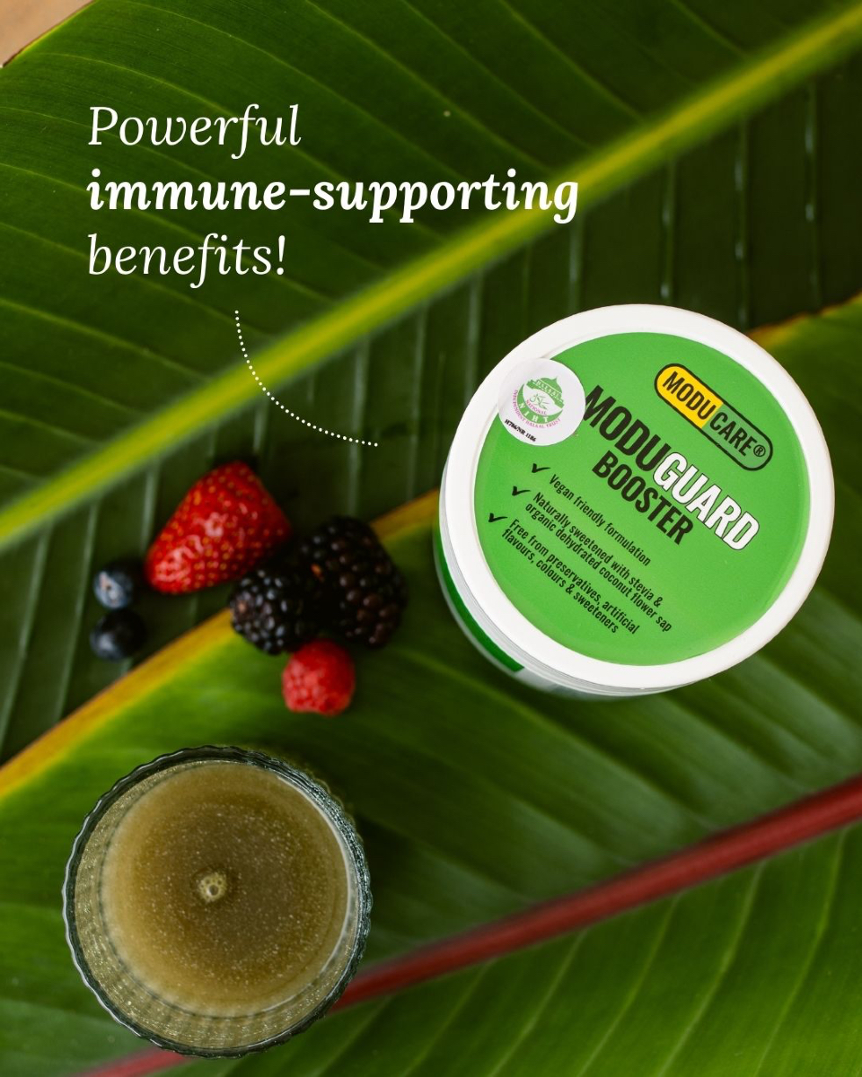 moducaresa's tweet image. Basically, if your immune system had a dating profile, these would be its non-negotiables. 😉  

Swipe right on better health and give your body the support it deserves! 🌿⚡

SHOP MODUGUARD | bit.ly/4jaTp1E (LINK IN BIO)

#ImmuneSupport #Moducare #StayHealthy