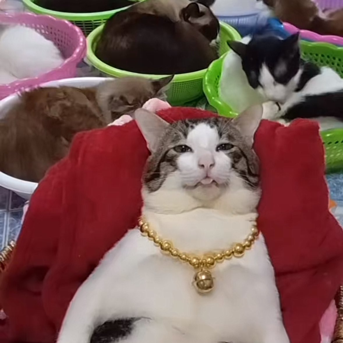 𝑪𝑳𝑶𝑺𝑬 tweet media