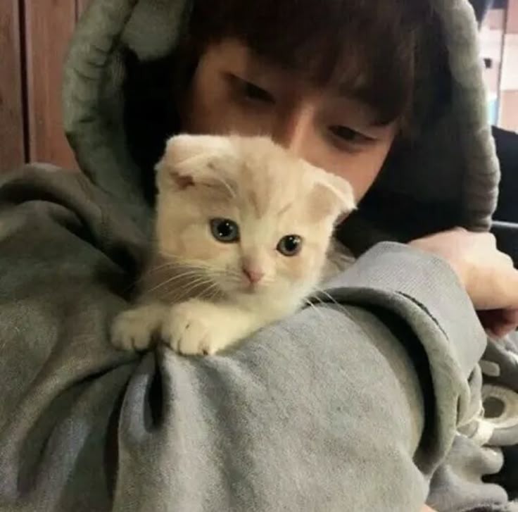 yyangpito's tweet photo. Few tweets #luwin | El gato del vecino
Todas las mañanas a la ventana de Winwin llegaba un lindo gatito, este pensaba que el animal no tenia dueño asi que le solia dar de comer y de más, hasta que un dia vio a su lindo vecino llamar al gatito. https://t.co/LL8kILcFgr