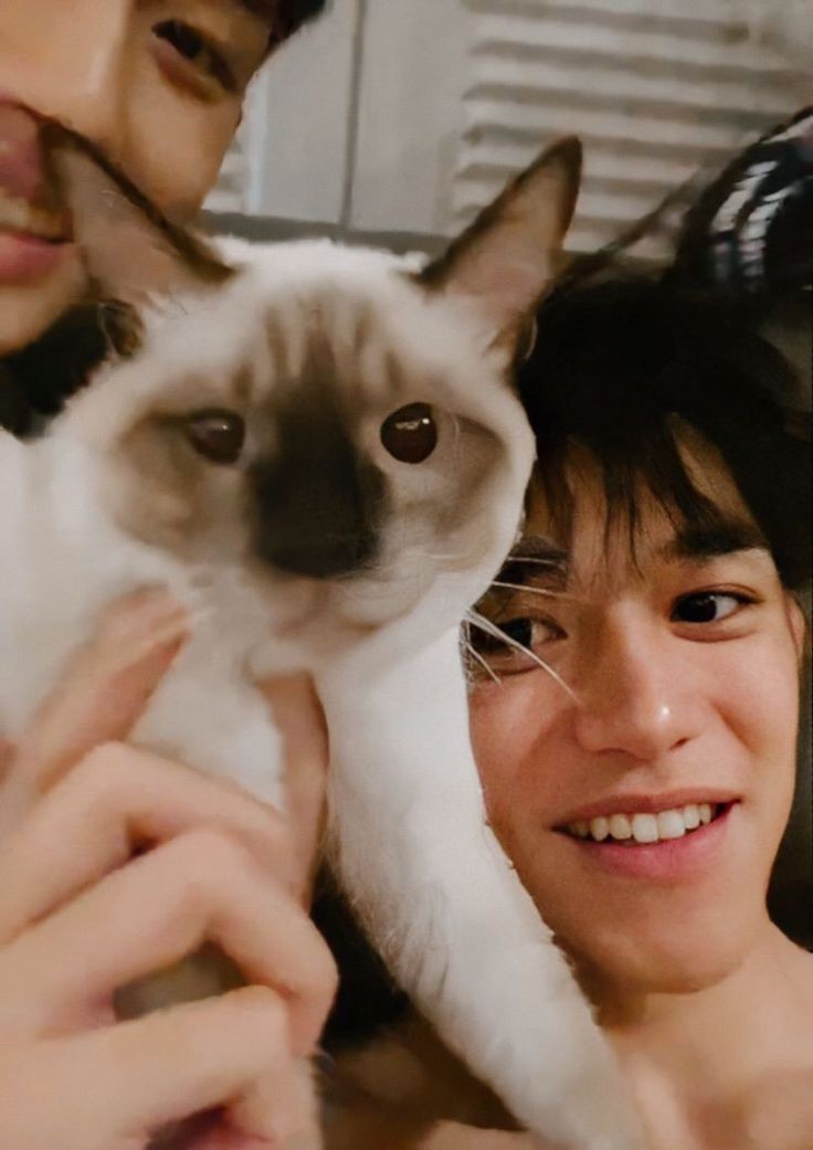 yyangpito's tweet photo. Few tweets #luwin | El gato del vecino
Todas las mañanas a la ventana de Winwin llegaba un lindo gatito, este pensaba que el animal no tenia dueño asi que le solia dar de comer y de más, hasta que un dia vio a su lindo vecino llamar al gatito. https://t.co/LL8kILcFgr