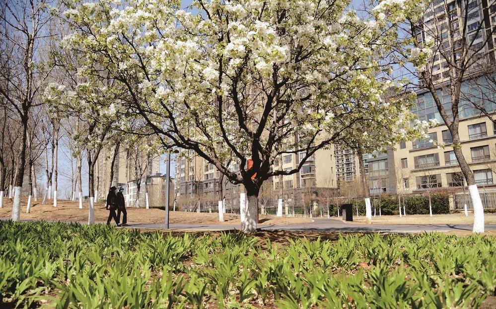 TSLDRBS's tweet photo. Tangshan, China! The splendor of spring is just beginning to emerge in March. https://t.co/YcyWYZuBxj