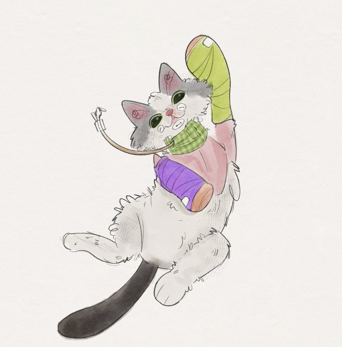 Hoping for sweet baby Wonton’s speedy recovery. 💖💖 She’s the strongest cat ever