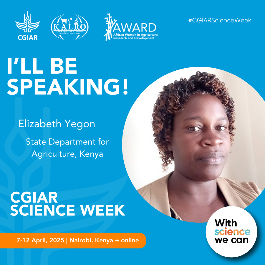 AWARDFellowship's tweet image. 🔔 Happening Today @ #CGIARScienceWeek 

Join us &amp;amp; @CGIARgender for a critical discussion: Unpacking the Status of Women in African Agrifood Systems♀️

We&apos;ll explore Africa-specific strategies for #GenderTransformative solutions in #AgriFoodSystems.

⌛️13:00 PM – 14:30 PM EAT

👉…