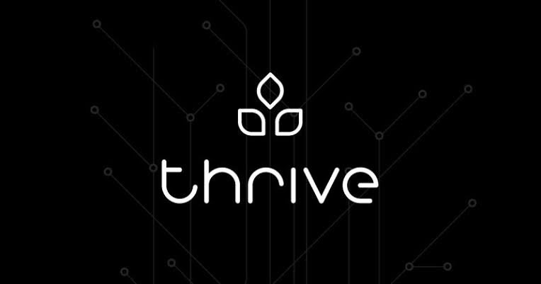 Thrive Protocol emphasizes a collaborative, mission-driven culture focused on transparency, community, and rewarding value creation. <a href="/thriveprotocol/">Thrive Protocol</a>