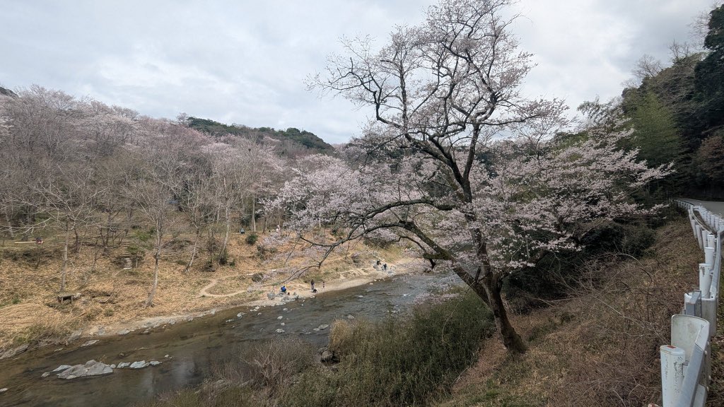 サイクリング🚴
