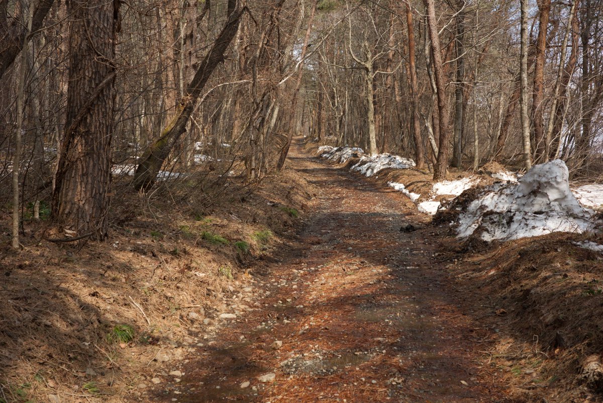 #sugosnap #岩手 #盛岡 #滝沢 #鞍掛山 #牛岩 #streetphotography #streetphoto #street #japan #gr3x #gr3