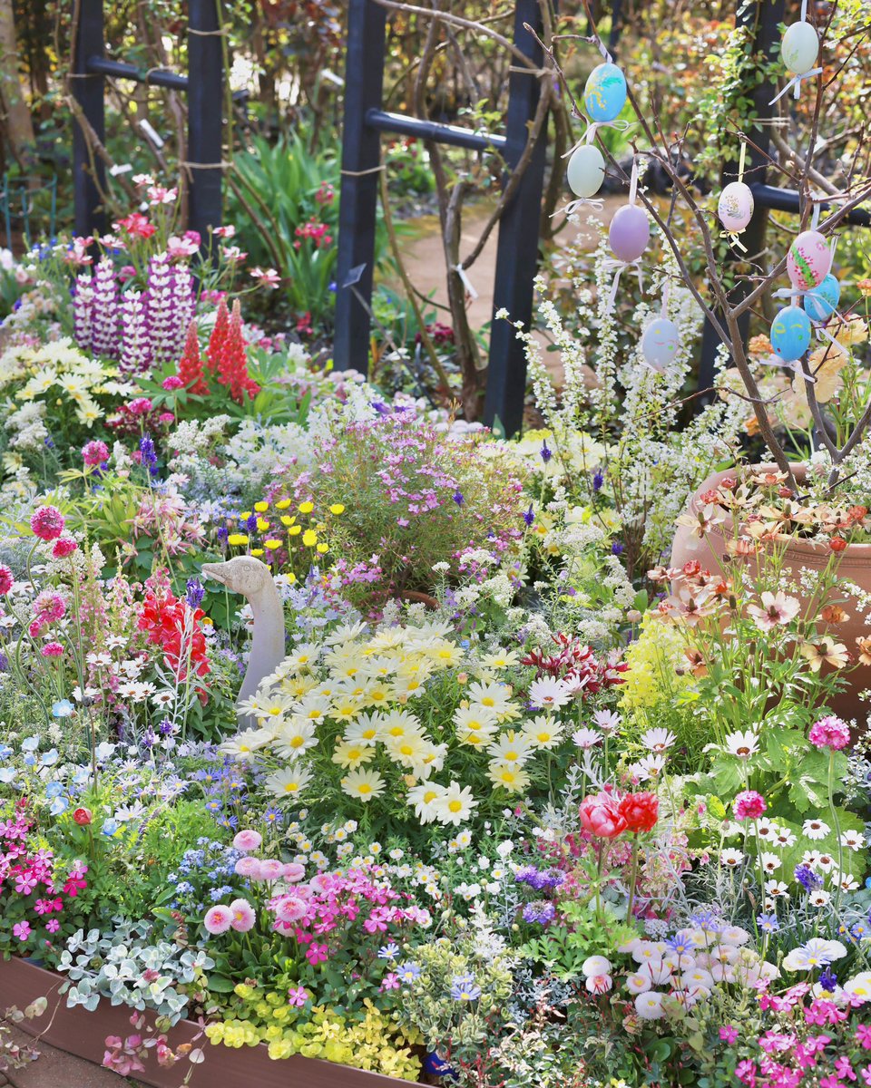 約50mにおよぶローズ・トンネルを彩るのは、カラフルなイースターエッグと2,500株以上、40種類以上の春の花々。今年は4月20日（日）のイースターをイメージして、パステルカラーの春の花々と小さなお家で可愛らしいディスプレイが皆様のお越しをお待ちしております♪
