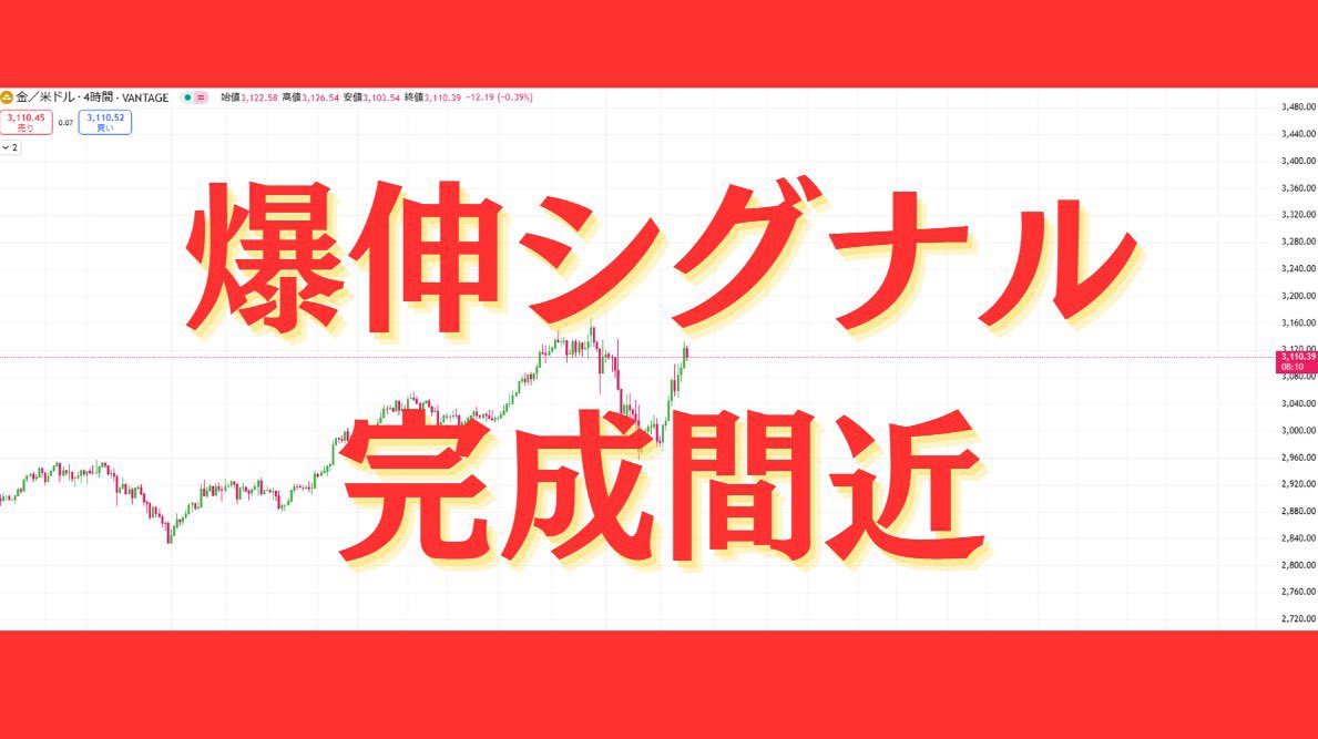 トレーダー菅野 tweet media