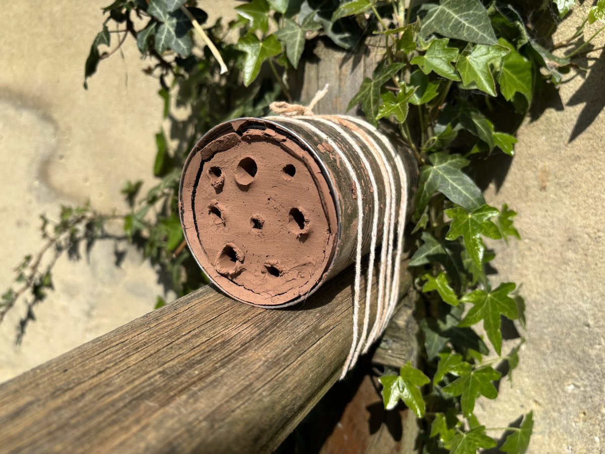 Juliet Turner (@juliet_turner6) on Twitter photo After attending a talk on bee conservation by <a href="/DaveGoulson/">Dave Goulson</a> at <a href="/RoyEntSoc/">Royal Entomological Society</a> I felt inspired to build some clay houses for solitary bees, specifically the Hairy-footed Flower Bees that often visit our garden. I will share updates if there is any nesting success!π After attending a talk on bee conservation by <a href="/DaveGoulson/">Dave Goulson</a> at <a href="/RoyEntSoc/">Royal Entomological Society</a> I felt inspired to build some clay houses for solitary bees, specifically the Hairy-footed Flower Bees that often visit our garden. I will share updates if there is any nesting success!π