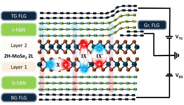 AG Malic, Paulina Plochocka (Toulouse) &amp; Alexey Chernikov (Dresden) demonstrate for the first time in natural MoSe2 homobilayers the emergence of quadrupolar excitons whose energy shifts quadratically in e-field. This is published in Nature Communications: nature.com/articles/s4146…